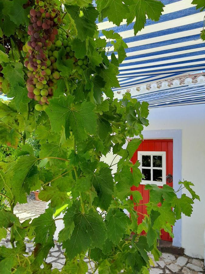 Monte Da Casa Branca By Hi Alentejo Villa São Bartolomeu da Serra Eksteriør billede